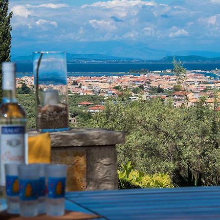 Aloe Villa Apolpaina Екстериор снимка