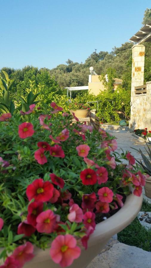 Aloe Villa Apolpaina Екстериор снимка