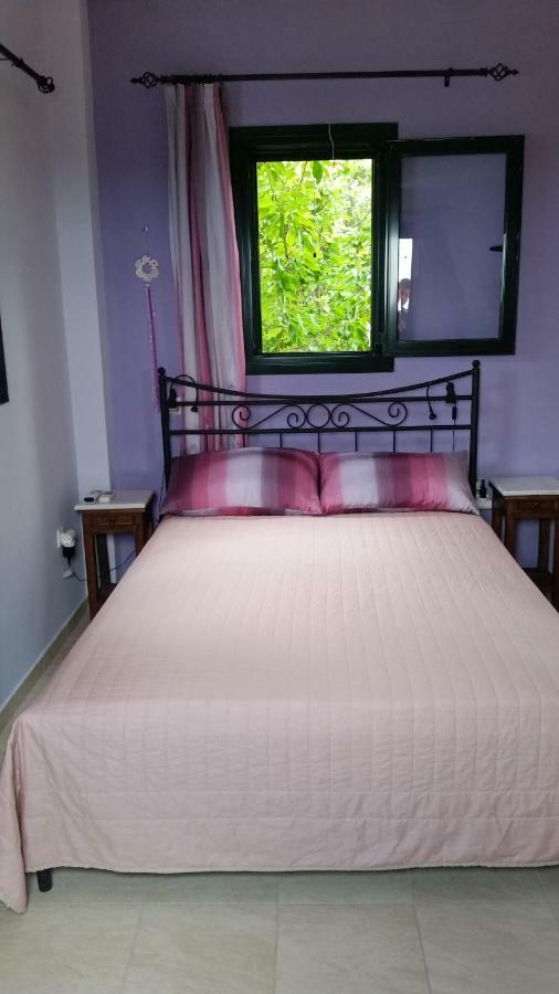 Aloe Villa Apolpaina Екстериор снимка